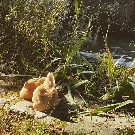 Le Moulin De * Longueil